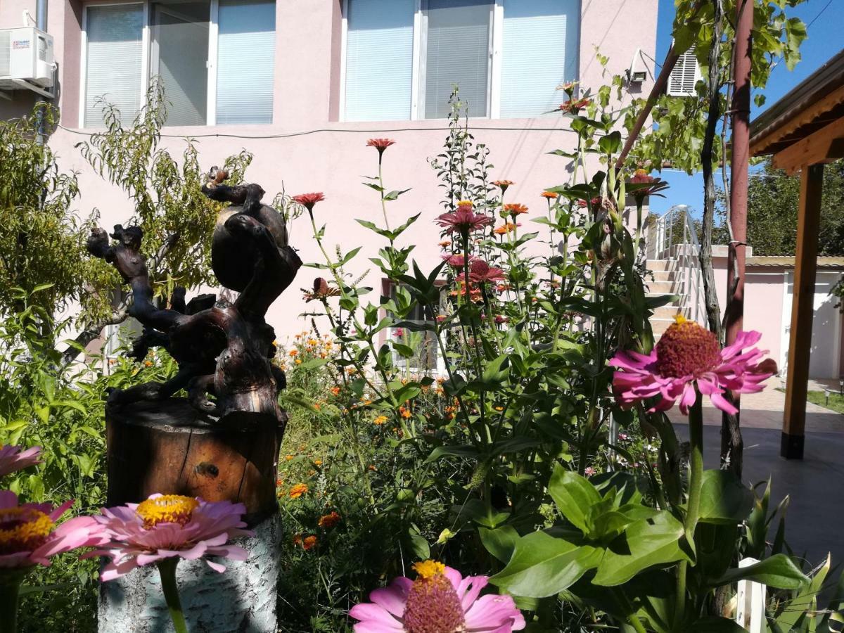 Guest House Krasi Ovoshtnik 外观 照片